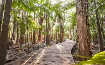 At The Byron at Byron Resort and Spa can relax their body and mind with free daily yoga classes or immerse themselves in the outdoors, with endless trails through the rainforest.