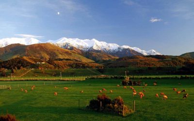 Situated between the mountains and the sea, Hapuku Lodge boasts stunning views of Kaikoura and Pacific Ocean